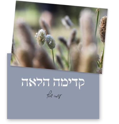 2 קלפים שצד אחד מציג טקסט :קדימה הלאה חתימה: עומרי שורץ. הקלף השני: צילום תקריב (מאקרו) של צמחיית בר. בפוקוס נראים שני ראשי תפרחת קטנים, שעירים ומעוגלים (דמויי שיבולים או עשב) בגווני בז' ולבן. שאר הצמחים המקיפים אותם, הן מלפנים והן מאחור, מטושטשים מאוד, והרקע מורכב מגוונים רכים של ירוק וחום בהיר.