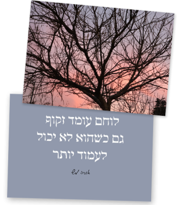2 קלפים שצד אחד מציג טקסט :לוחם עומד זקוף גם כשהוא לא יכול לעמוד יותר חתימה: אוריה מש. צד שני של הקלף: צילום של עץ בשלכת (ללא עלים) על רקע שמיים בשעת שקיעה או דמדומים. הענפים הרבים והדקים נראים כצללית שחורה ומסועפת מול צבעי השמיים בגווני ורוד, סגול וכתום.